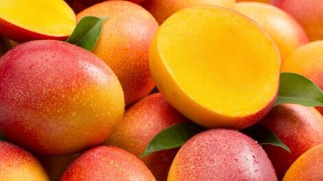Mango Kent - Image 4